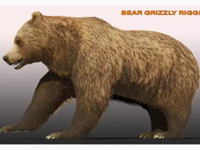 BEAR LOW-POLY RIGGED Low-poly 3D model