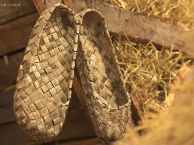  Hanging Worn Bast Shoes 