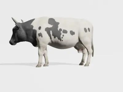 cow 3d model with realistic texture Low-poly 3D model