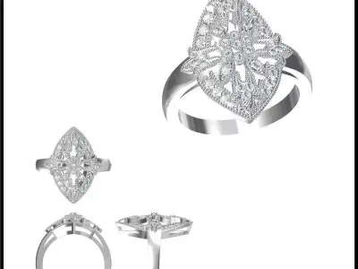 JCD Format  Antique wedding rings jewellery design course 3D print model