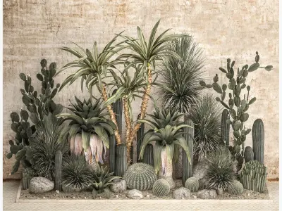  Collection of tropical desert plants 1108A 