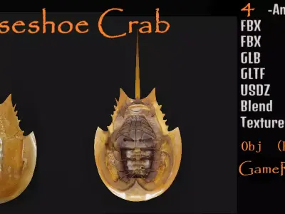 Horseshoe Crab Free 3D model