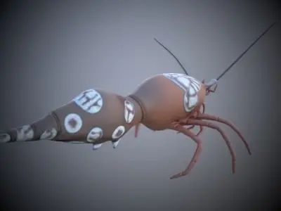 Shrimp 3D model buy