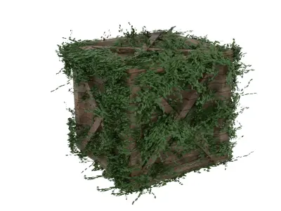 Moss Crate  3D model