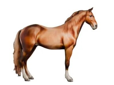 Realistic 3D Horse Model High-Quality Textured  Game Ready Low-poly 3D model
