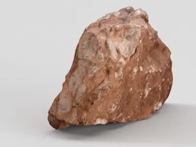 Fossil rock 3D model