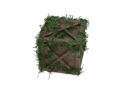 Moss Crate  3D model