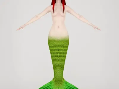  T pose nonrigged model of little mermaid and human form 3D model