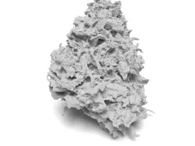 Cannabis Bud 03 3D model
