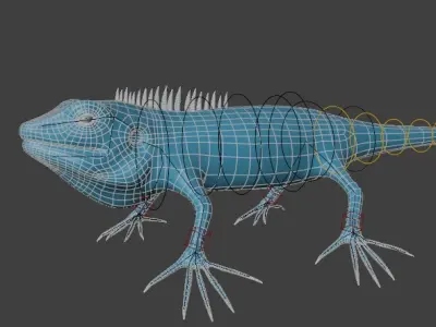 Lizard Free 3D model