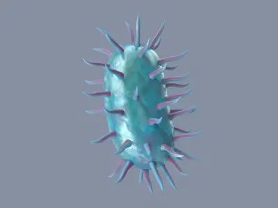 Bacterium 3D model