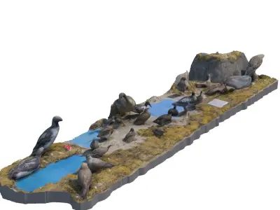 The exposition of birds 3D model