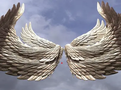 Phoenix Dragon wings 3D model