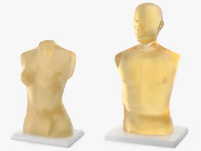 Ballistic Gel Dummies Collection 3D model