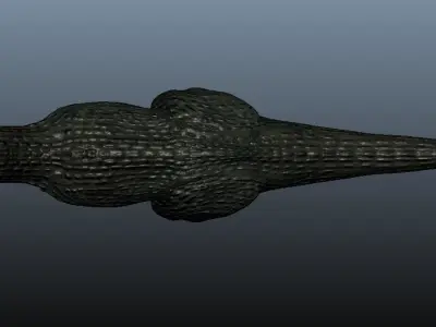Tyrannosaurus Rex 3D model 7