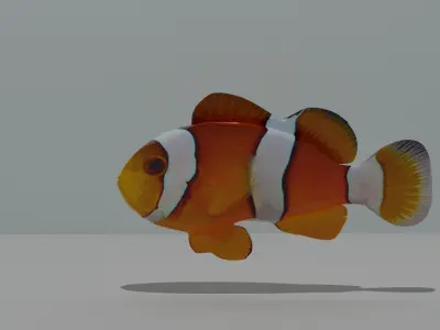 CLOWN FISH  3D model