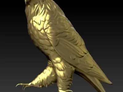 Falcon eagle Free 3D print model