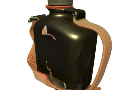 Military Canteen Bottle with Strap Low-poly 3D model