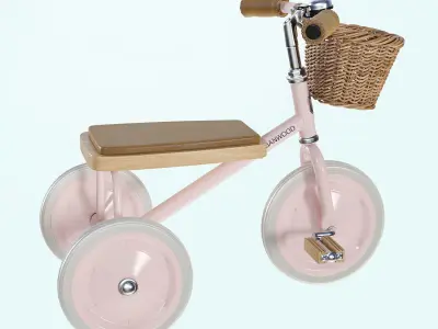 BANWOOD TRIKE Pink Chil Bike Kid Bicycle  3D model