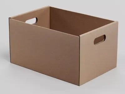-Carrier Box- 3D model
