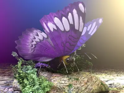 Purple Butterfly 3D model