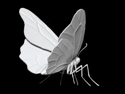 high poly butterfly 3D print model