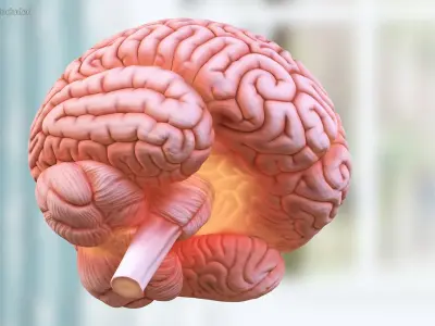 Human Brain with Microchip Implant with Light 3D model
