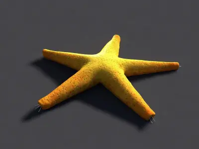 Red Star Fish Low-poly 3D model