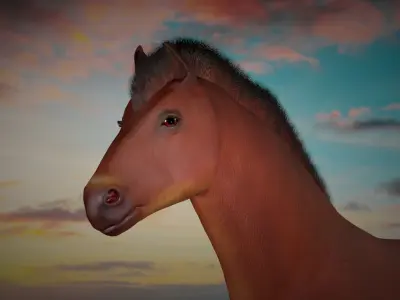 Horse 3D model 5