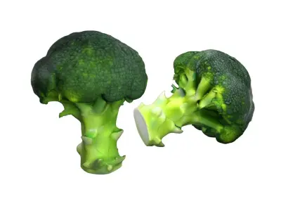 Broccoli scan Free low-poly 3D model