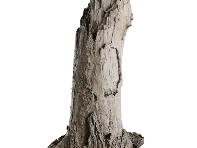  Tall Broken Decaying Stump Model 