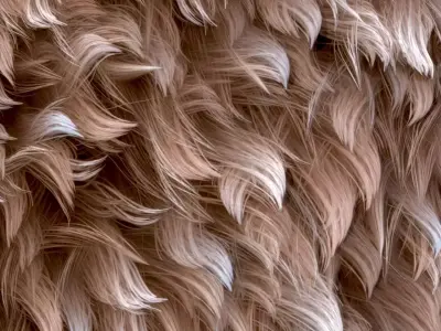 Fur Wool Substance Material and Texture