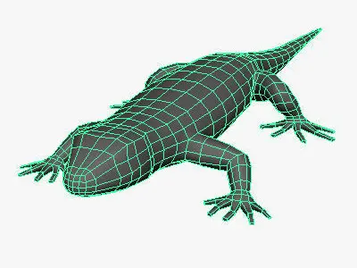 Low Poly Lizard Low-poly 3D model
