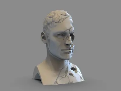Broken Bust 3D print model