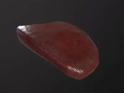 Severed Tongue 3D Model Low-poly 3D model