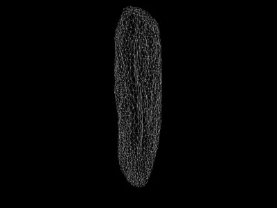 Anydrafts Salix matsudana Burl 11 Low-poly 3D model