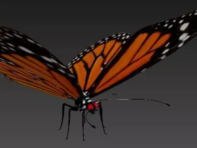 BUTTERFLY monarch 3D model