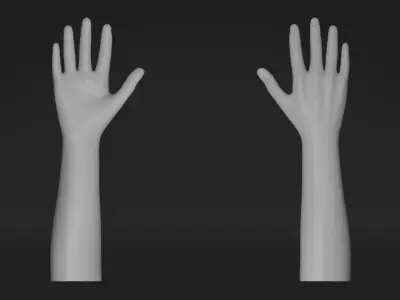 Realistic Hand-Rigged 3D model