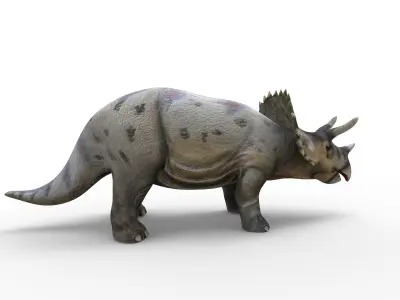Realistic Triceratops 3D Models game ready Low-poly 3D model