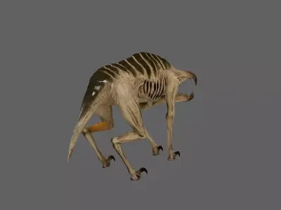 Creature 3D model 47