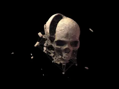 Broken Skull with Spider webs 4 3D model