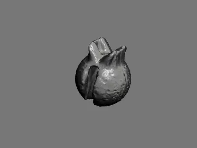 fishing split shot sinker 3D model