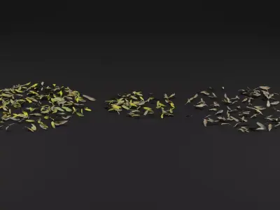 Dead Leaves  3D model