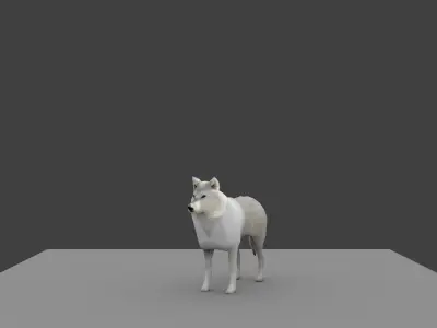 wolf made in blender Low-poly 3D model