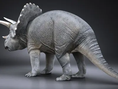 Triceratops dinosaur 3D model purchase