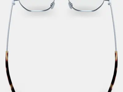 Robbie Eyeglasses in Antique Silver 3D model