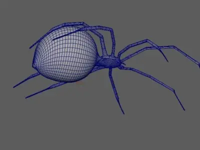 Spider Black Widow 3D model buy