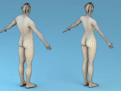 Base Character Male or female 3D model