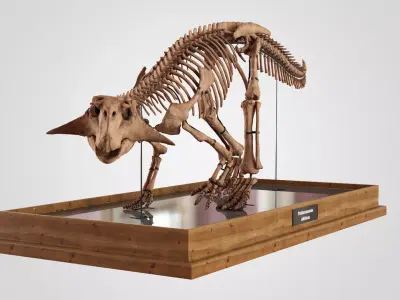 Psittacosaurus 3D model