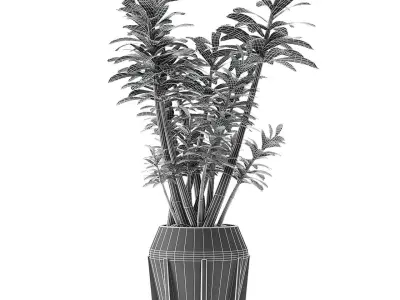 Plant in Pot Flowerpot Exotic Plant 3D model